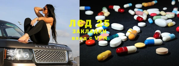 сатива Покачи