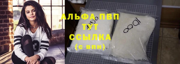 гашик Вязьма