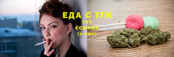 гашик Вязьма