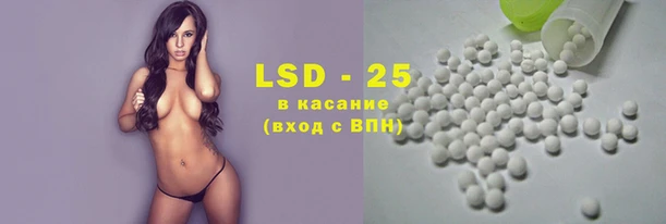 индика Волоколамск