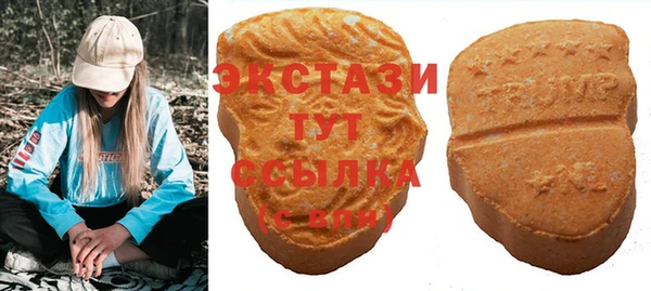 гашик Вязьма