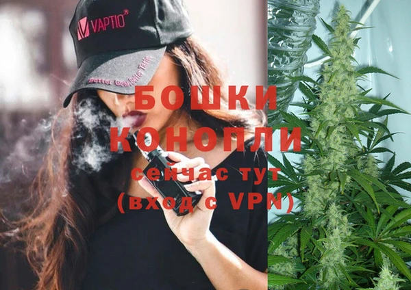 гашик Вязьма